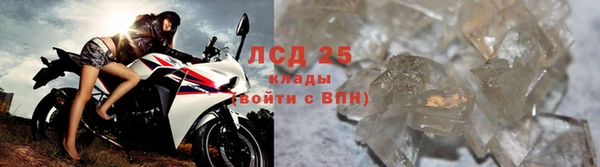 тгк Алзамай