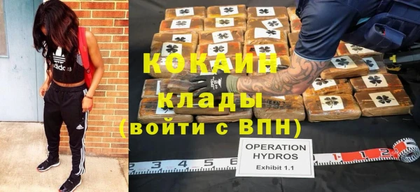 тгк Алзамай