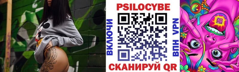 Галлюциногенные грибы Psilocybine cubensis  Биробиджан 