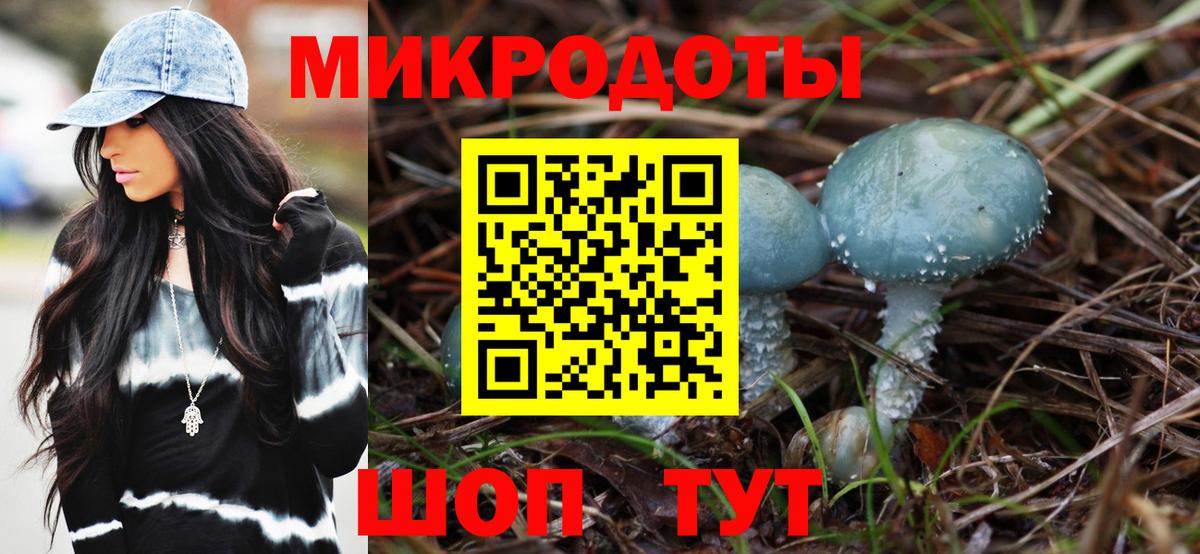 Псилоцибиновые грибы прущие грибы  Галлюциногенные грибы прущие грибы  Биробиджан  Вход с VPN 